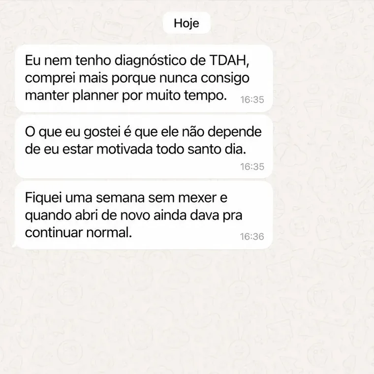 Conversa no WhatsApp de uma cliente sobre o Planner Dia Um (4 de 10)
